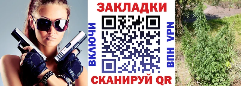 Все наркотики Городовиковск Конопля  МЕФ  ТГК  СОЛЬ  ГАШИШ  COCAIN 