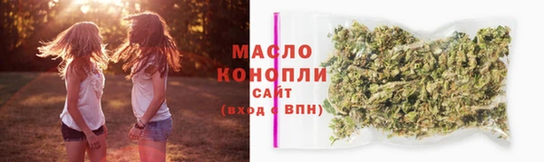 индика Богородск