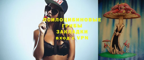 mdpv Богородицк