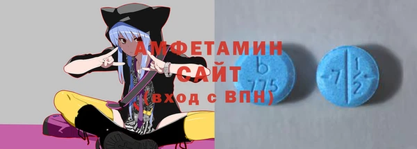 индика Богородск