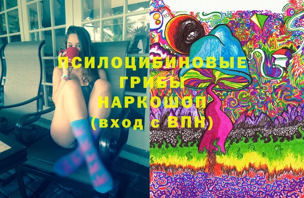 индика Богородск