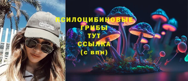 mdpv Богородицк
