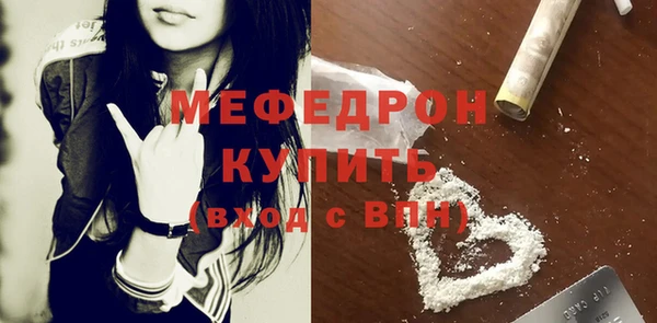индика Богородск